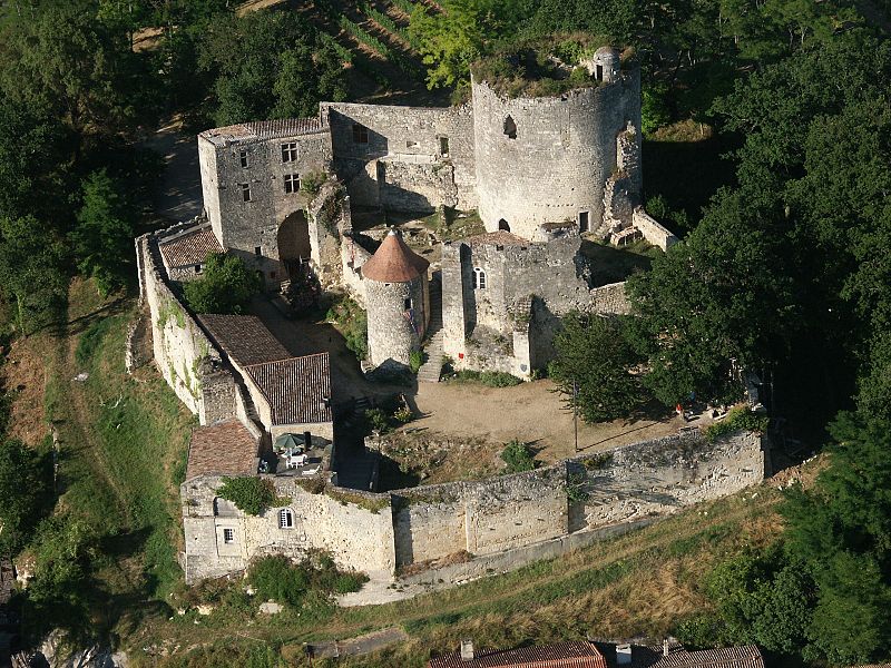 Vue aérienne du château de Langoiran