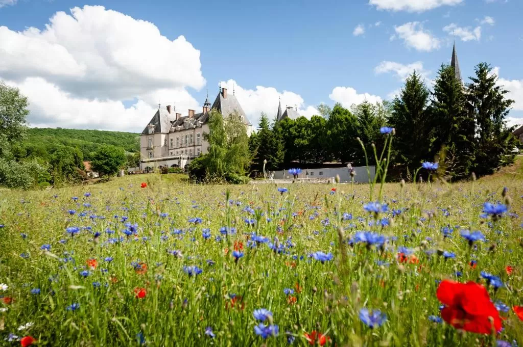 Château Sainte-Sabine 