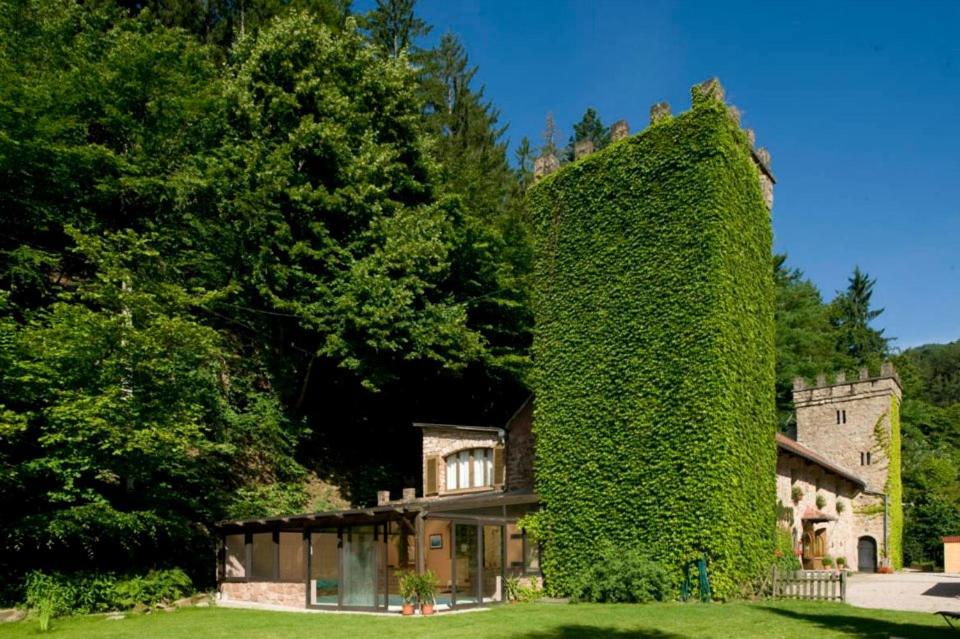 Tour couverte de Lierre de l'Hôtel Restaurant Château Landsberg situé à Barr (67)