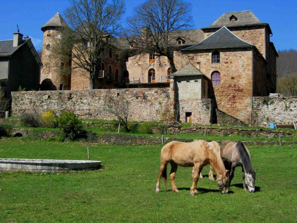 Deux chevaux dans un près en contrebas du Château de Salelles à Banassac-Canilhac