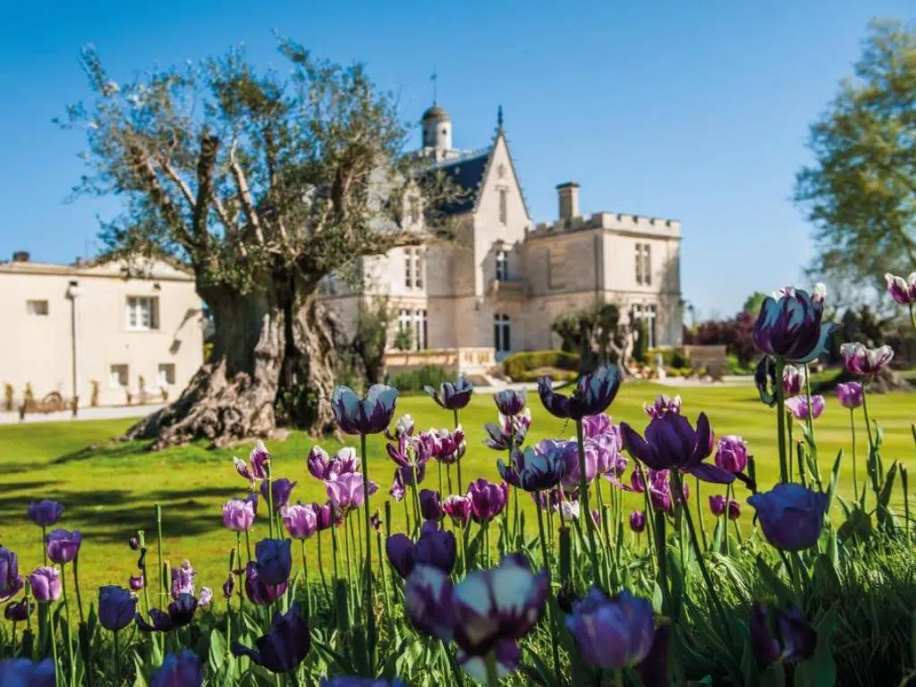 Château Pape Clément à Pessac