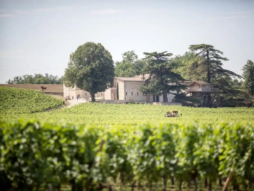 Vue aérienne du Relais Franc Mayne et du vignoble avoisinant